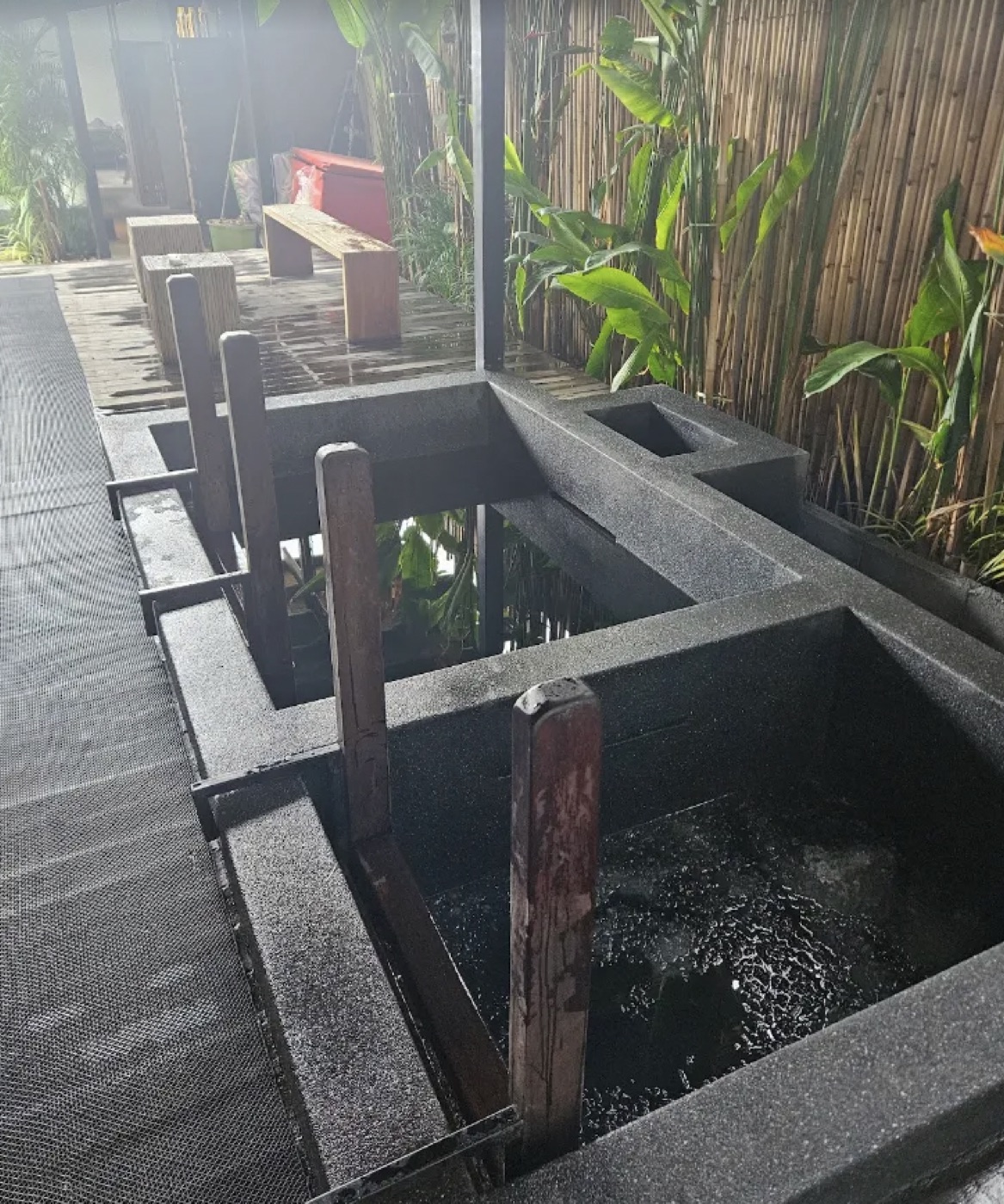 Cold-water recovery pools among tropical plants
